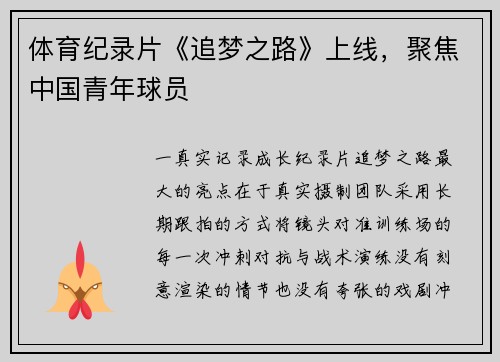 体育纪录片《追梦之路》上线，聚焦中国青年球员