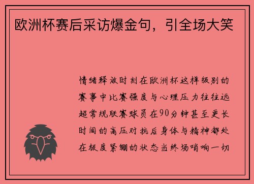 欧洲杯赛后采访爆金句，引全场大笑